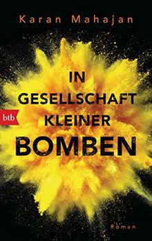 In Gesellschaft kleiner Bomben: Roman