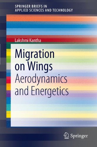 Migration on Wings: Aerodynamics and Energetics (SpringerBriefs in Applied Sciences and Technology)