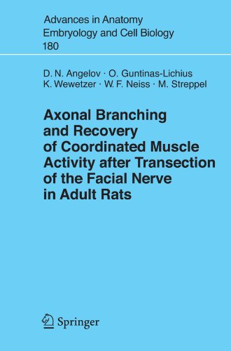 Axonal Branching and Recovery of Coordinated Muscle Activity after Transection of the Facial Nerve in Adult Rats (Advances in Anatomy, Embryology and Cell Biology)