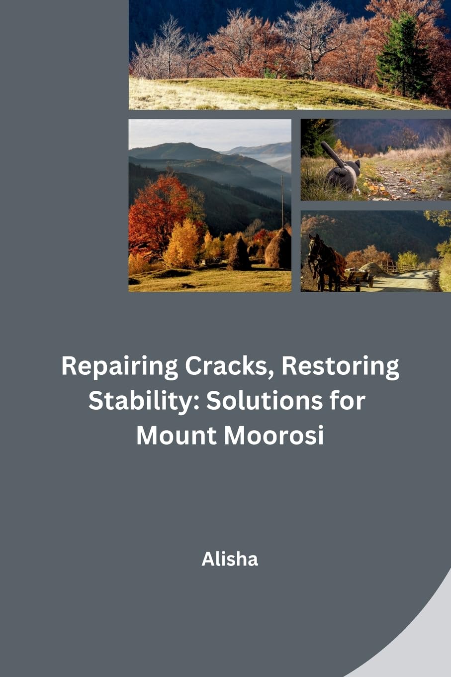 Repairing Cracks, Restoring Stability: Solutions for Mount Moorosi: DE