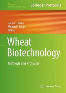 Wheat Biotechnology: Methods and Protocols (Methods in Molecular Biology)