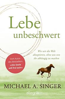 Lebe unbeschwert: Wie wir die Welt akzeptieren, ohne uns von ihr abhängig zu machen | Das neue Buch des Bestsellerautors von "Die Seele will frei sein"