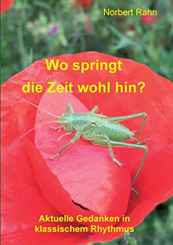 Wo springt die Zeit wohl hin?: Aktuelle Gedanken in klassischem Rhythmus