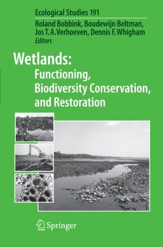Wetlands: Functioning, Biodiversity Conservation, and Restoration (Ecological Studies)