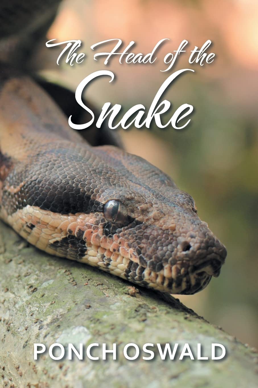 The Head of the Snake