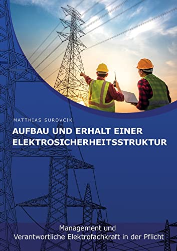 Aufbau und Erhalt einer Elektrosicherheitsstruktur: Management und Verantwortliche Elektrofachkraft in der Pflicht