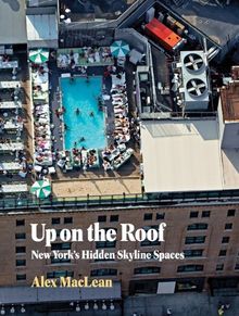 Up on the Roof: New York's Hidden Skyline Spaces