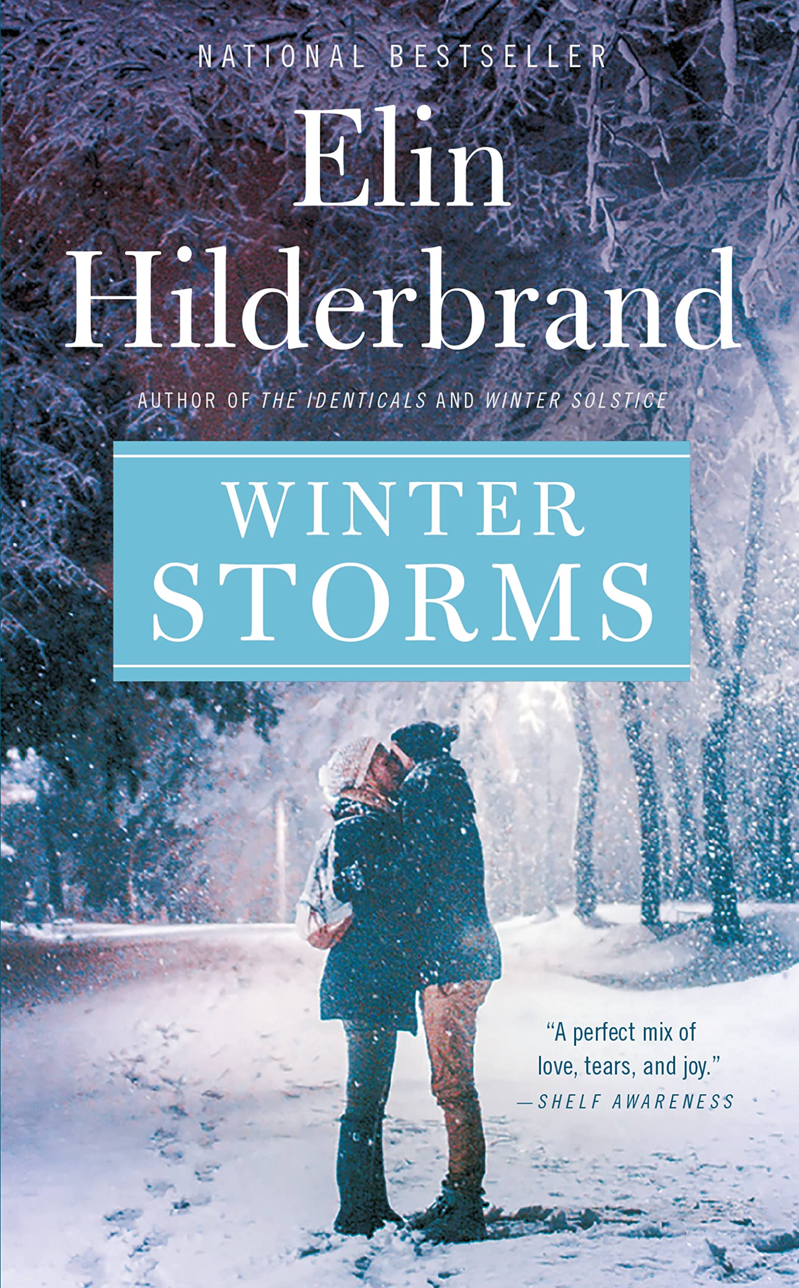Winter Storms (Winter Street, 3, Band 3)