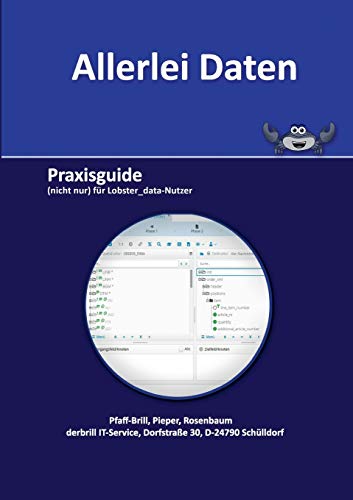 Allerlei Daten: Praxisguide (nicht nur) für Lobster_data-Nutzer