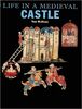 Life in a Medieval Castle (Gatekeeper S.)