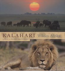 Kalahari - wildes Afrika
