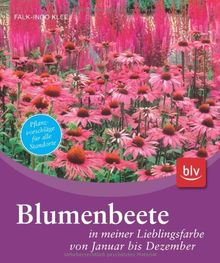 Blumenbeete in meiner Lieblingsfarbe von Januar bis Dezember