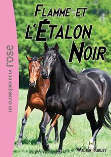 L'étalon noir. Vol. 17. Flamme et l'étalon noir