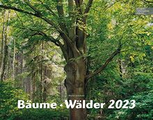 Bäume Wälder Kalender 2023 | Wald Kalender im Großformat (58 x 45,5 cm) | Bäume Kalender | Wälder Kalender: Großformat-Kalender 58 x 45,5 cm