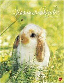 Kaninchenkinder Posterkalender 2024