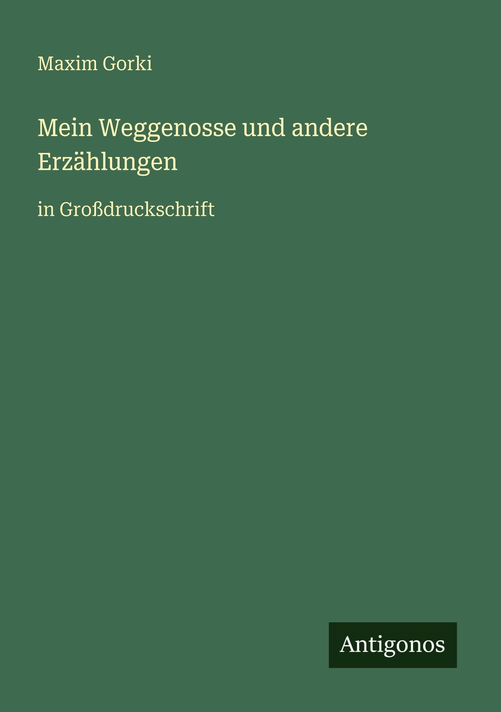 Mein Weggenosse und andere Erzählungen: in Großdruckschrift