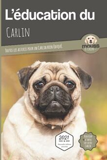L'éducation du carlin : toutes les astuces pour un carlin bien éduqué : 2021