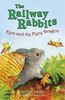 Fern and the Fiery Dragon: Book 7 (Railway Rabbits, Band 7)