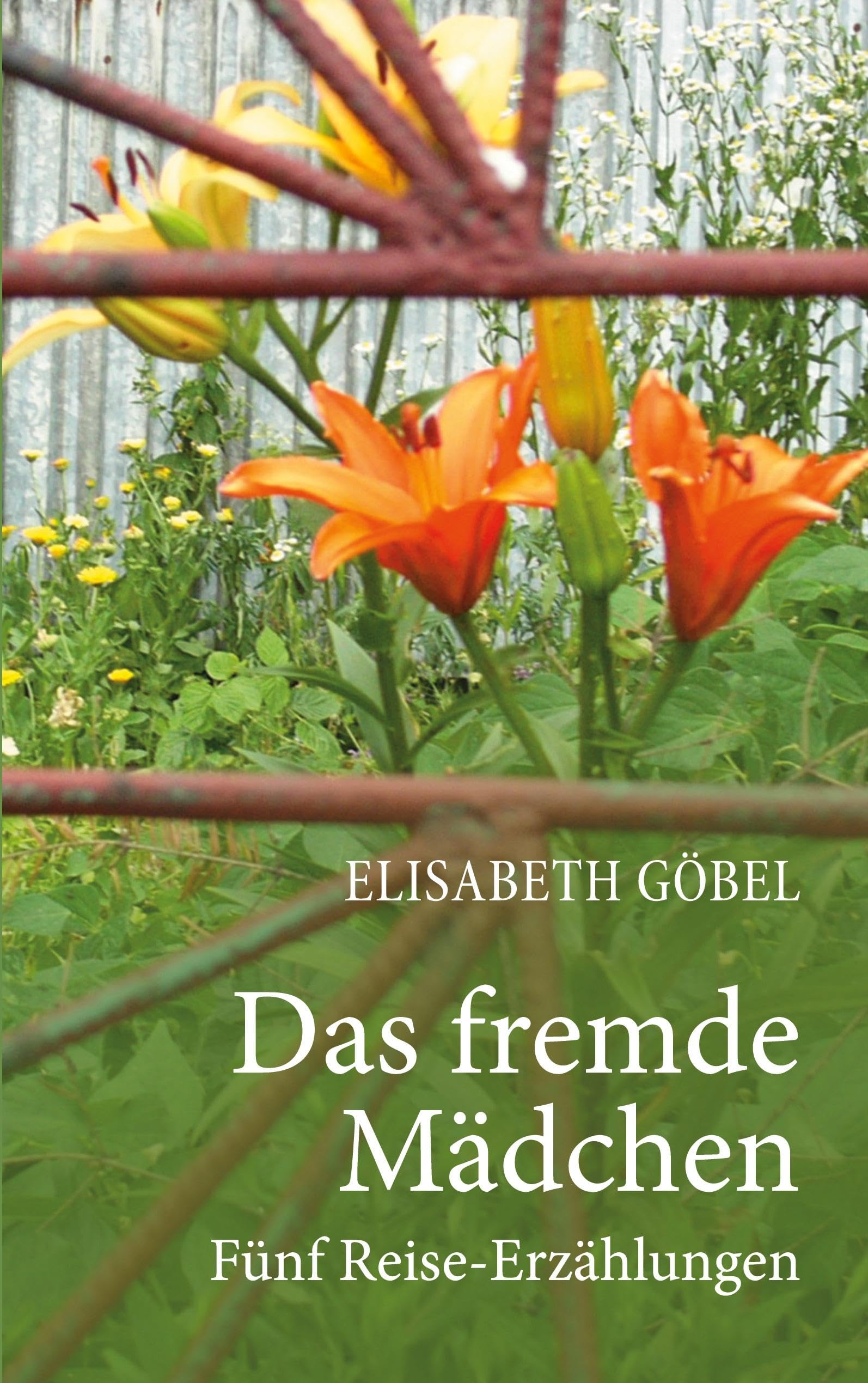 Das fremde Mädchen: Fünf Reise-Erzählungen
