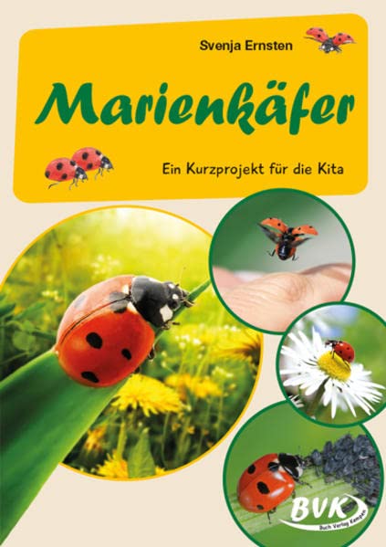 Marienkäfer: Ein Kurzprojekt für die Kita (Kita-Kurzprojekte)