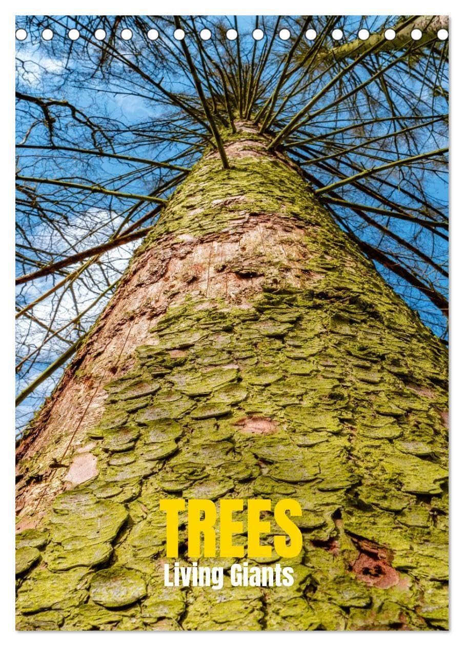 Trees, Living Giants (Desk Calendar 2026 DIN A5 portrait), CALVENDO 12 Month DeskCalendar: Rooted in Time. Reaching for the Sky (CALVENDO Nature)