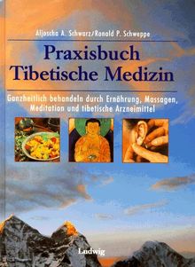 Praxisbuch Tibetische Medizin