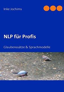 NLP für Profis: Glaubenssätze & Sprachmodelle