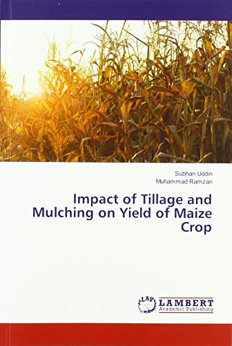Impact of Tillage and Mulching on Yield of Maize Crop