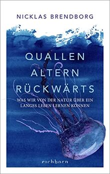 Quallen altern rückwärts: Was wir von der Natur über ein langes Leben lernen können