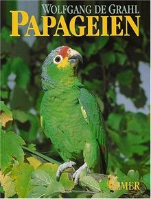 Papageien: Lebensweise, Arten, Zucht