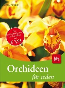 Orchideen für jeden: Die wichtigsten Gruppen - Die schönsten Sorten - Die beste Pflege
