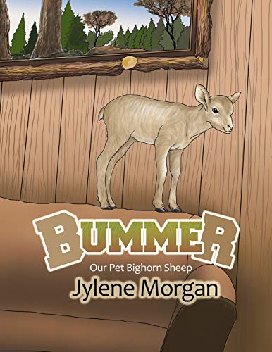 Bummer: Our Pet Bighorn Sheep
