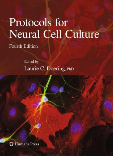 Protocols for Neural Cell Culture 4e (Springer Protocols Handbooks)