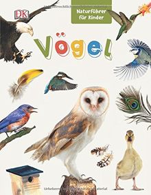 Naturführer für Kinder. Vögel