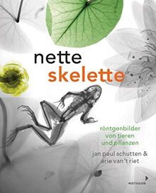 Nette Skelette: Röntgenbilder von Tieren und Pflanzen