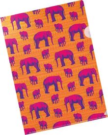 Die Tiere Afrikas Bunte Sichthüllen - Motiv Elefant: Set mit 3 Sichthüllen