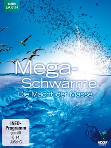 Megaschwärme - Die Macht der Masse [2 DVDs]