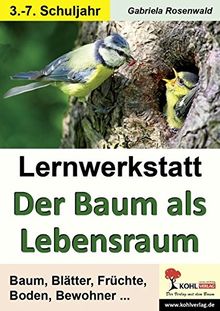 Lernwerkstatt Der Baum als Lebensraum