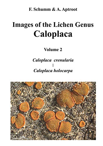Images of the Lichen Genus Caloplaca, Vol 2: Caloplaca crenularia, Caloplaca holocarpa