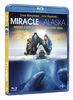 Miracle en alaska [Blu-ray] [FR Import]