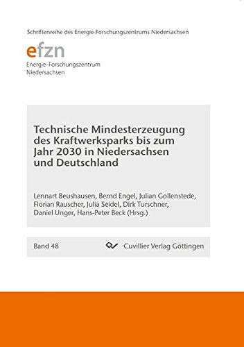 Technische Mindesterzeugung des Kraftwerksparks bis zum Jahr 2030 in Niedersachsen und Deutschland (Schriftenreihe des Energie-Forschungszentrums Niedersachsen (EFZN))