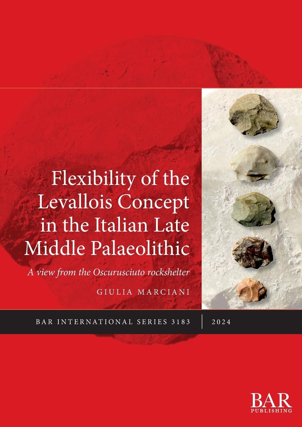Flexibility of the Levallois Concept in the Italian Late Middle Palaeolithic: A view from the Oscurusciuto rockshelter (International, Band 3183)