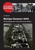 Blutiger Sommer 1945: Nachkriegsgewalt in den böhmischen Ländern