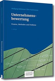 Unternehmensbewertung: Prozess, Methoden und Probleme