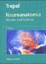 Neuroanatomie. Struktur und Funktion