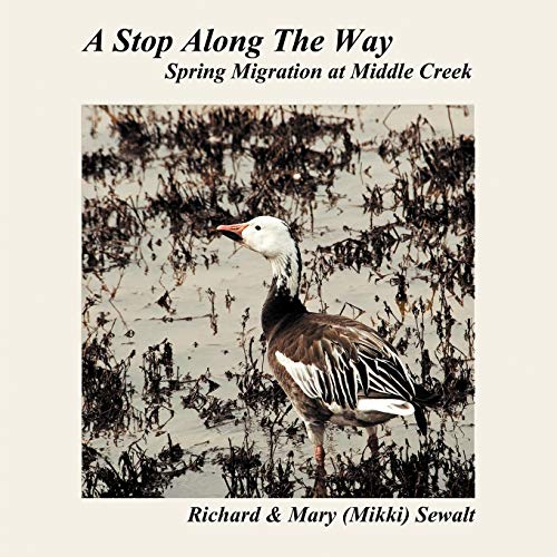 A Stop Along The Way: Spring Migration at Middle Creek