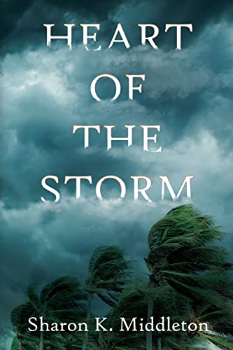 Heart of the Storm (A McCarron's Corner Mystery, Band 1)