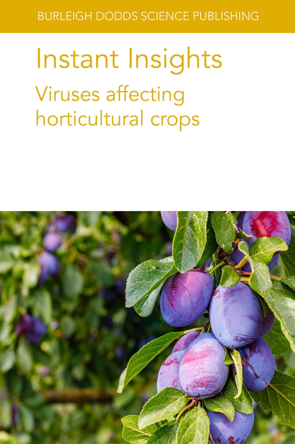 Instant Insights: Viruses affecting horticultural crops (Burleigh Dodds Science: Instant Insights, Band 106)