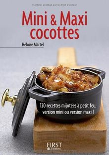 Mini & maxi cocottes : 120 recettes mijotées à petit feu, version mini ou version maxi !