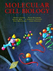 Molecular Cell Biology | Buch | Zustand gut